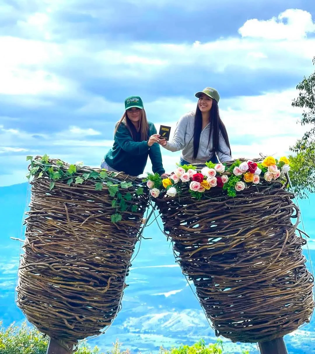 Vista completa del entorno